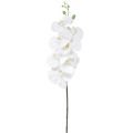 Floristik24 Orquídea Artificial Branca Phalaenopsis Real Touch H83cm