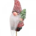 Floristik24 Gnomo decorativo Papai Noel plugues decorativos Natal 10cm 4uds
