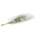 Floristik24 Flores de jardim brancas C50cm 3pçs