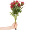 Ramo artificial de cardo vermelho para decoração, 67 cm, 3 peças | Floristik24.pt