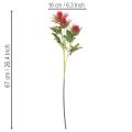 Ramo artificial de cardo vermelho para decoração, 67 cm, 3 peças | Floristik24.pt