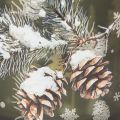 Porta-velas de vidro com pinhas e flocos de neve, 15 cm | Floristik24.pt