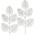 Floristik24 Decoração de inverno, folhas decorativas, galho artificial glitter branco L36cm 10p