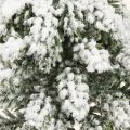 Decoração de inverno árvore de Natal em verde branco Ø7cm Alt.14cm 4 unidades | Floristik24.pt