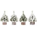 Decoração de inverno árvore de Natal em verde branco Ø7cm Alt.14cm 4 unidades | Floristik24.pt
