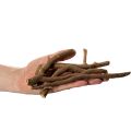 Galhos e raízes decorativas de madeira, naturalmente secas, 18 cm, 500 g | Floristik24.pt