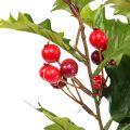 Floristik24 Holly Ilex Artificial Berry Branch Planta Artificial 60cm