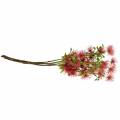 Floristik24 Xanthium seda flor rosa escuro 53cm 6pcs