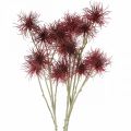 Floristik24 Xanthium flor artificial decoração de outono vermelho 6 flores 80cm 3uds