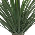 Floristik24 Palmeira de mandioca artificial em vaso Planta em vaso de palmeira artificial H52cm