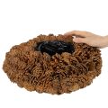 Vaso redondo de pinha para plantas, 38 cm; vaso redondo de pinha, marrom natural, feito de pinhas, 38 cm x 14 cm | Floristik24.pt