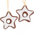 Floristik24 Decorações para árvore de natal estrelas de canela deco estrela de plástico 5cm 24uds