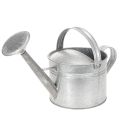 Floristik24 Regador vintage de zinco, 27 cm - vaso para jardim e pátio, floreira de metal
