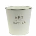 Floristik24 Vaso de flores Zinco Art of Nature Creme Ø17,5cm A15cm