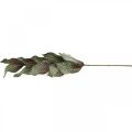 Floristik24 Planta artificial deco ramo verde vermelho marrom espuma H68cm