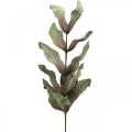 Floristik24 Planta artificial deco ramo verde vermelho marrom espuma H68cm