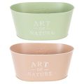 Vaso oval de zinco para flores, 27 x 18 cm, A 12,5 cm, várias cores. | Floristik24.pt