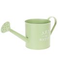 Floristik24 Vaso de flores, regador decorativo, floreira de zinco verde menta, Ø16,5 cm