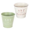 Vaso de zinco para flores, Ø15cm A13,5cm, várias cores. | Floristik24.pt