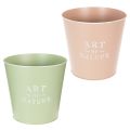 Vaso de zinco para flores, Ø22cm x 21cm, várias cores. | Floristik24.pt