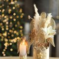Grama dos pampas decorativa creme grama seca branqueada 95cm 3 un | Floristik24.pt