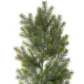 Floristik24 Guirlanda artificial de ramos de pinheiro para arranjos florais criativos, 175 cm