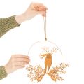 Anel decorativo de Natal, rena em um anel, Papai Noel com presente, decoração em metal, acabamento envelhecido, Ø18cm, conjunto de 2 | Floristik24.pt