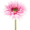 Floristik24 Flores artificiais de gerbera para jardim, rosa, 47 cm, 6 peças.