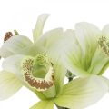 Floristik24 Orquídeas artificiais flores artificiais em vaso branco/verde 28cm