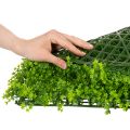 Tapete de buxo artificial 55x55 cm para decoração de parede | Floristik24.pt
