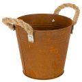Floristik24 Vaso de metal com alças, para ervas, com decoração rústica, Ø16,5cm A15cm