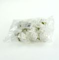Floristik24 Mini rosas de espuma brancas 12 unidades