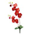 Floristik24 Deco orquídea vermelha 68cm