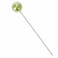 Alfinetes com cabeça de pérola, verde-maçã, Ø10mm, 60mm | Floristik24.pt
