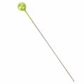 Alfinetes com cabeça de pérola Ø6mm 65mm verde maçã | Floristik24.pt