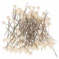 Floristik24 Alfinetes com cabeça de pérola Ø6mm 65mm Champagne