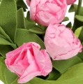 Floristik24 Mini rosas para decoração de mesa rosa 16cm